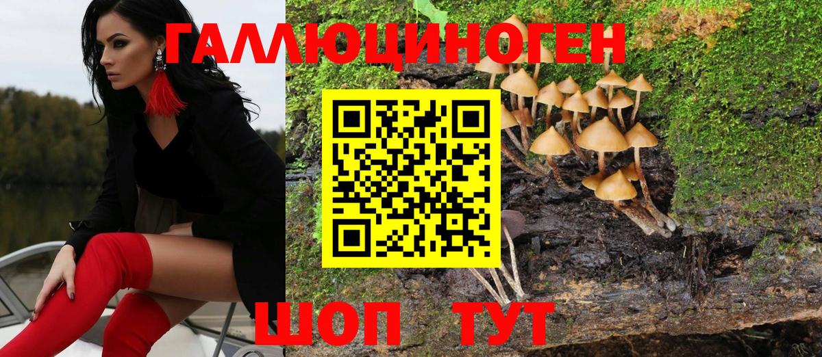 Галлюциногенные грибы мухоморы Обь